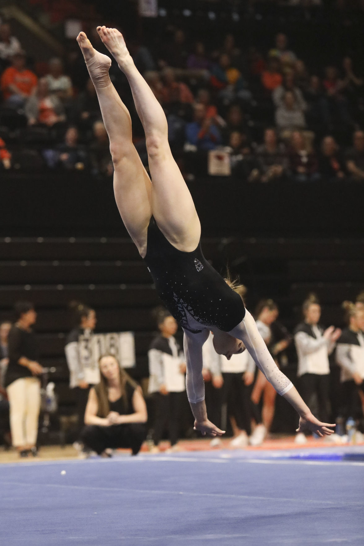Oregon State Gymnastics